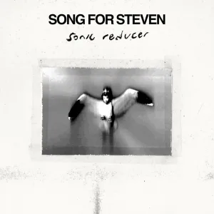 Song For Steven
