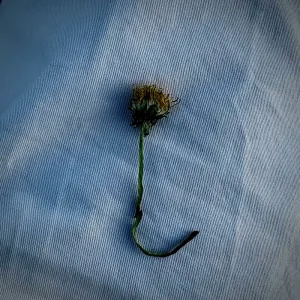 CoNtiGo