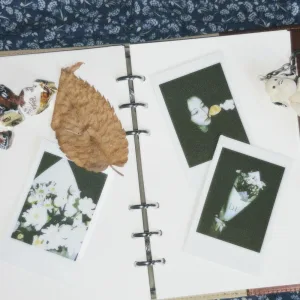 Diary (Inst.)