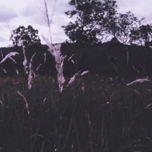 I Will Always Wait Here...