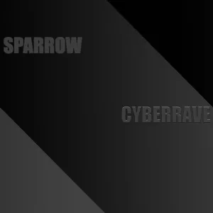 Cyberrave