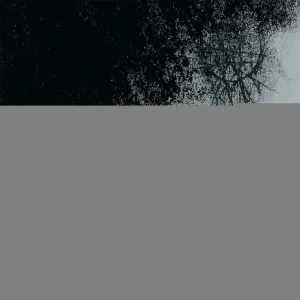 Entropy