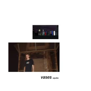 vases