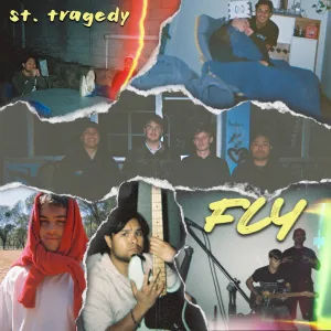 Fly
