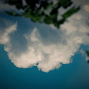 cloudleaf