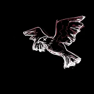 the hawk