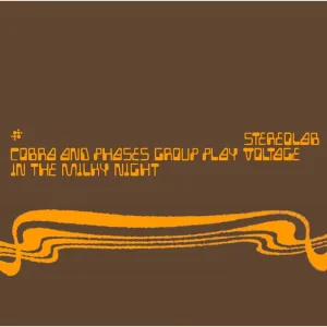 Puncture In The Radak Permutation