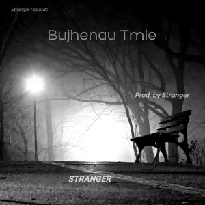 Bujhenau Tmle