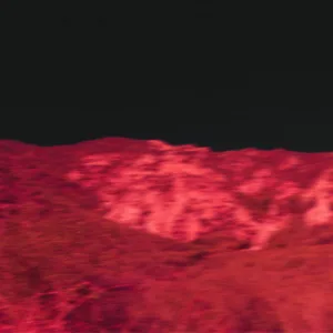 pasadena