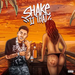 Shake it That
