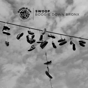 Boogie Down Bronx