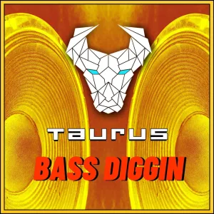 Bass Diggin'