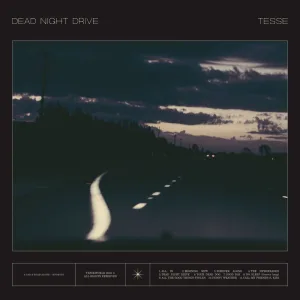Dead Night Drive