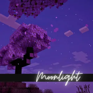 Sunset (Chill Version )