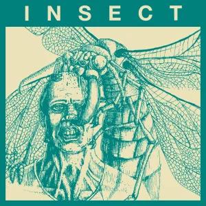 Insect