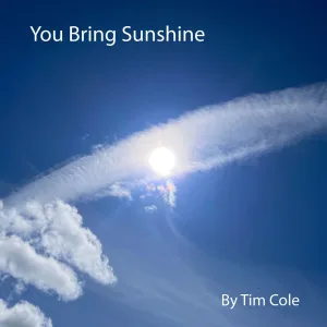 You Bring Sunshine