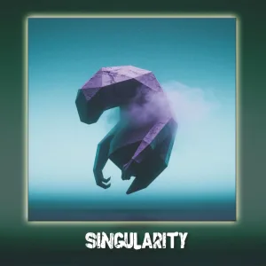 Singularity