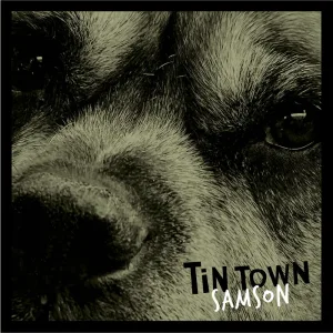 Samson