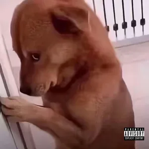 WE COME