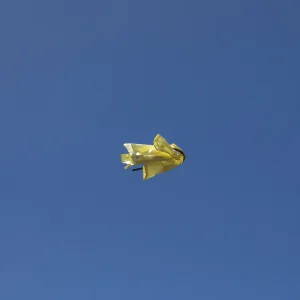 Show Off