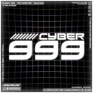 CYBER 999