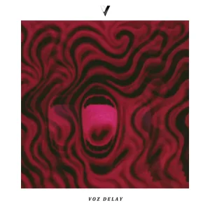 Voz Delay