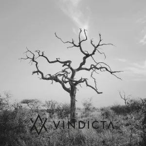 Vindicta