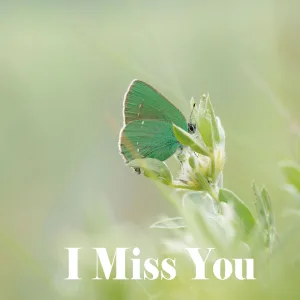 I Will Let Go