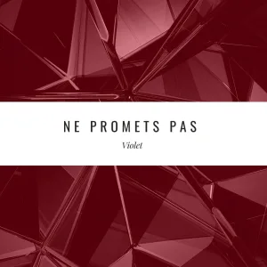 Ne promets pas