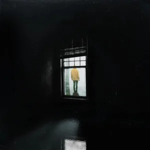 In A Mirror, Dimly