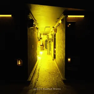 Murmurs