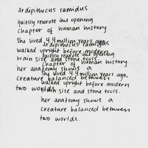 Cycles
