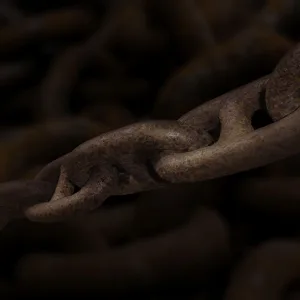 Monomania