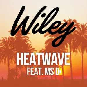 Heatwave (feat. Ms D) (DEVolution Extended Mix)