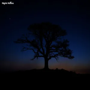 Nightfall