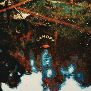 Canopy