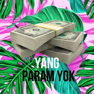 Param Yok