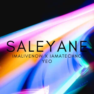 Saleyane