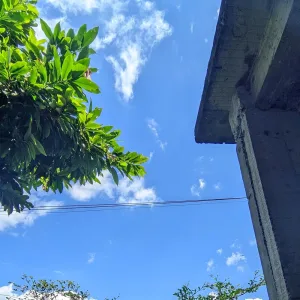 IBU
