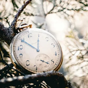 Timeless