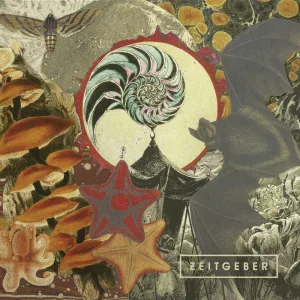 Zugunruhe - taking flight