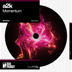 Momentum