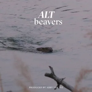 Beavers