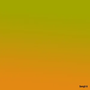 Sengli 6