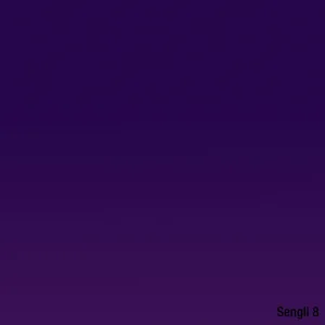Sengli 8