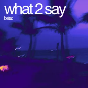 What 2 Say