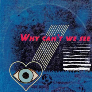 Why Can't We See