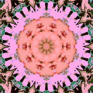 Reformat