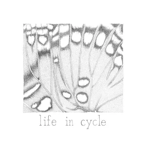 inside the cocoon