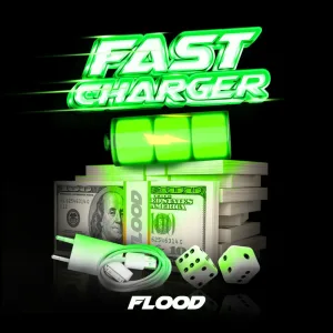 Fast Charger